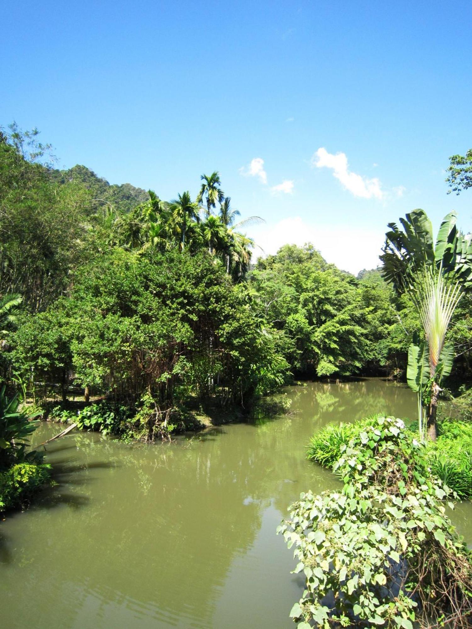Phanom Bencha Mountain Resort Краби Экстерьер фото